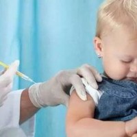 接种安全疫苗应该怎么做到哪些？