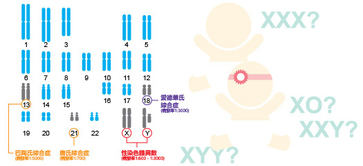 敏儿安safeT21express孕前检测